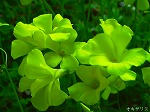 20070322 08.jpg